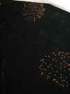 Fireworks11.jpg (21292 bytes)